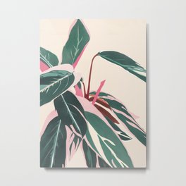 Stromanthe Sanquinea Metal Print | Aloe, Ficus, Drawing, Minimal, Botany, Bush, Nature, Pot, Flora, Abstract 