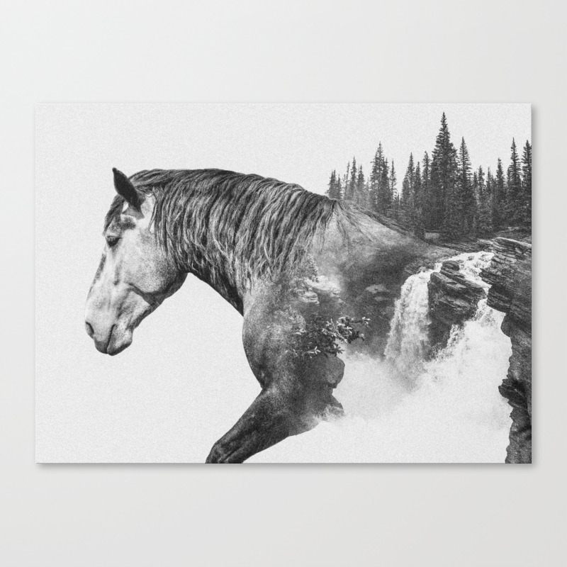 Horse Abstract Photography Art Black And White Animal