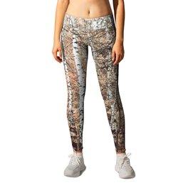 birch forest Leggings | Trees, Birch Tree, Autumn, Fall, Young, White, Forest, Poland, Magic, Digital 