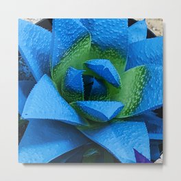 Spectacular Neon Blue Awesome Succulent Plant Metal Print | Succulentcactus, Cactussucculent, Brightsucculent, Succulentplant, Awesomesucculent, Succulentartphoto, Artsysucculent, Artsysucculentart, Bluesucculent, Neonbluesucculent 