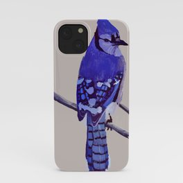 Blue Jay Bird iPhone Case