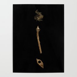 Forest mix. Dry twigs. Still life. Black Poster