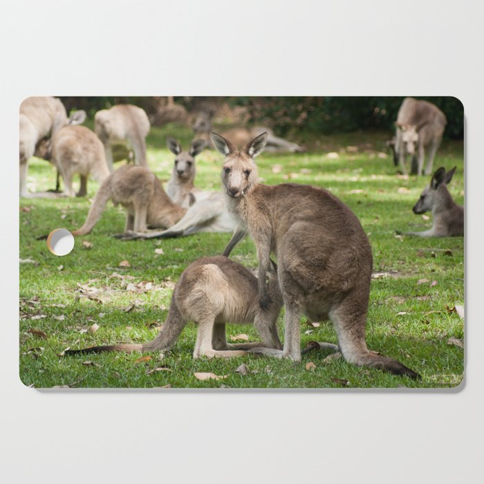 Mother Eastern Grey Kangaroo And Joey Cutting Board By Rosscampbell Society6