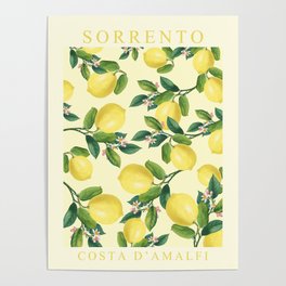 Lemons from Sorrento Poster