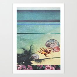 Sea Collections Art Print