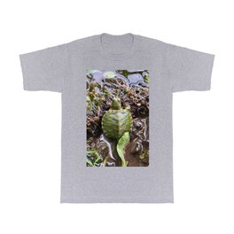 Baby turtle T Shirt