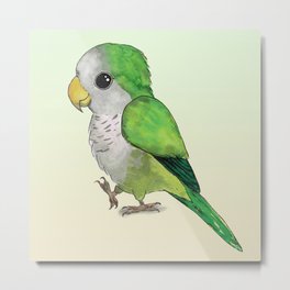 Very cute green parrot Metal Print | Parrot, Quakerparrot, Parakeet, Drawing, Verycute, Watercolor, Monkparakeet, Cute, Lovely, Pet 
