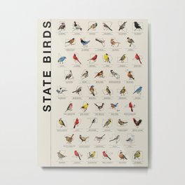 50 State Birds Metal Print | Statebirds, Polygons, Modern, Statebird, Birds, Geometric, Triangles, Bird, Polygonal, Lowpoly 