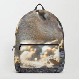 Watercolor Golden-Mantled Ground Squirrel 19, Rock Cut, RMNP, Colorado Backpack | Gray, Carlson, Sciuridae, Digital Manipulation, Digital, Rodent, Tan, Squirrel, Nature, Carlsonimagery 
