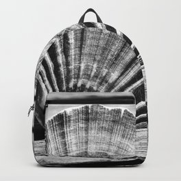 Scallop Shell and Timber Backpack | Table, Wood, Wooden, Davehare, Shell, Nature, Seashell, Photo, Digital, Sea 