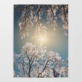 BEAUTIFUL WINTER LANDSCAPE HARMONIOUS COLORS FROZEN LAKE SNOWY TREES  MEADOWS AND FIELDS SNOW FLAKES SUNSHINE ICE FROZEN Poster