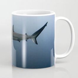 Levitating Coffee Mug | Digital, Sea, Blue, Scuba, Jupiter, Freedive, Mirrorless, Ocean, Reef, Sony 