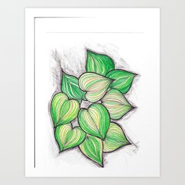 Green mandala  Art Print