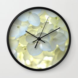 Hydrangeas Wall Clock | Whiteflower, Photo, Hydrangeas, Closeupflowers, Floral, Digital, Bluishtint, Sunlight, White, Softlight 