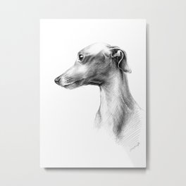 Delicate Italian Greyhound portrait Metal Print | Illustration, Drawing, Delicate, Black and White, Beautiful, Cute, Elegant, Pets, Dogs, Dog 