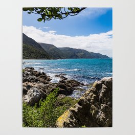New Zealand Coastal View Poster