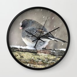 Once Upon a Snow Bird: Junco Wall Clock | Dark Eyedjunco, Snowbird, Bird, Nancyacarter, Gray, Meditative, Storms, Color, Photo, Adirondacks 