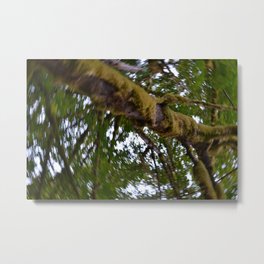 Trees Metal Print | Nature, Love 