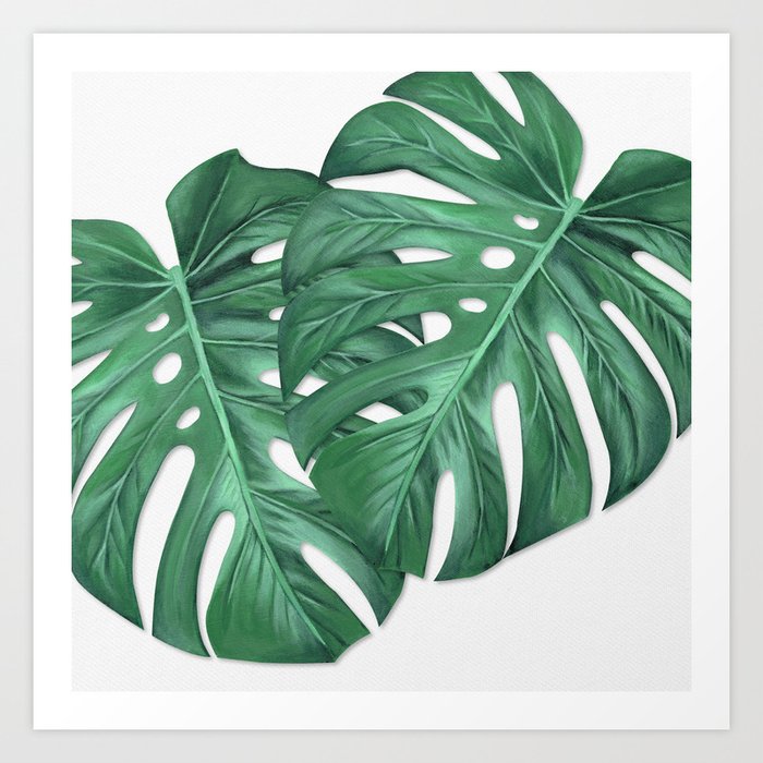 Monstera Tropical Leaf Painting Art Print By Anne Marieart Society6