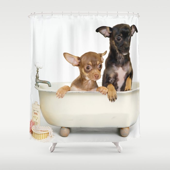 Chihuahua Puppy Shower Curtain Shower Curtain