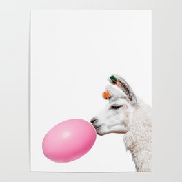 Funny Llama with Pink Balloon White Background Poster