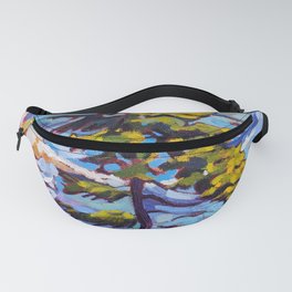 Northshore Beauty Fanny Pack