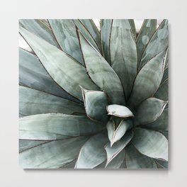 Botanical Succulents // Dusty Blue Green Desert Cactus High Quality Photograph Metal Print | Trippy Of Bohemian, Botanical Wilderness, Desert Cactus Sky, Wildflower Bloom, Hippie Joshua Set, Country Outfitters, Photo, Boho And Artwork, Rays In California, Pictures Photos Home 
