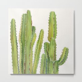 Cactus 2 Metal Print | Succulent, Summer, Art, Desert, Spring, Beautiful, Botanical, Botani, Nature, Green 