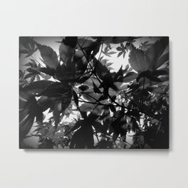 Shadow Leaves Metal Print | Shadowleaves, Leaves, Acer, Shadows, Photo, Digital, Blackandwhite, Macro, Shadow, Black and White 