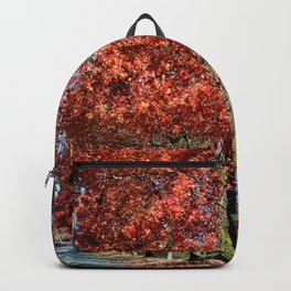 We Welcome You to Fall Backpack | Leaves, Spooky, Tworoads, Color, Fall, Twopaths, Mirroredimage, Treelinedpath, Photo, Falltrees 