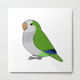 Fluffy wild green quaker parrot cartoon drawing Metal Print | Digital, Japanbird, Greenquakerparrot, Chibi, Cute, Drawing, Monkparakeet, Quakerparrot, Cartoon, Fluffy 