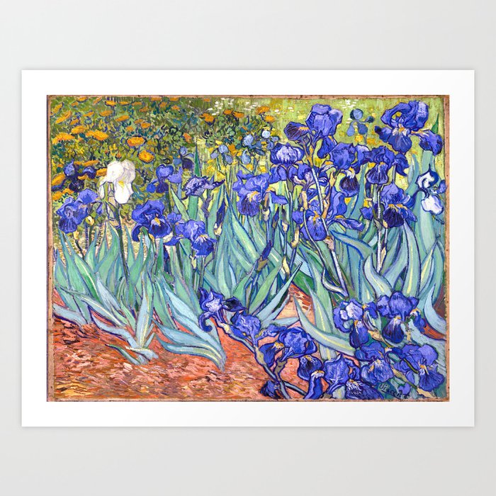 Vincent Van Gogh Irises Art Print