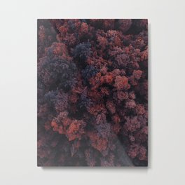 Red Forest | Aerial Photography  Metal Print | Woods, Bush, Trees, Mountain, Pine, Rainforest, Environmental, Spring, Lush, Spruce 