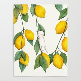 Cat and Lemons Poster