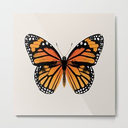 Monarch Butterfly | Vintage Butterfly | Metal Print | Butterflies, Monarchbutterfly, Orangeandblack, Butterfly, Gardeninsects, Migration, Vintagebutterfly, Transformation, Wildlife, Graphicdesign 