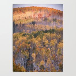Colorado Autumn Snow I Poster