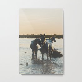 Camargue Horses III ... Metal Print | Photo, Summerprint, Horsesinwater, Wanderlust, Pasteldecor, Francephotograph, Camarguehorses, Camarguefrance, Horseprint, Color 