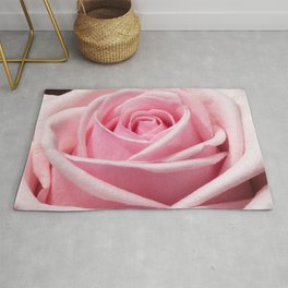Blush Pink Rose Rug | Photo, Lightpink, Flower, Blushpinkfloral, Blushpinkflowers, Valentineflowers, Pinkfloral, Blossoming, Flowers, Bloomingrose 